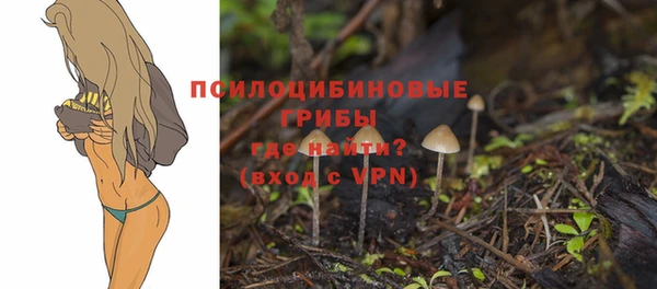 шишки Сосновоборск