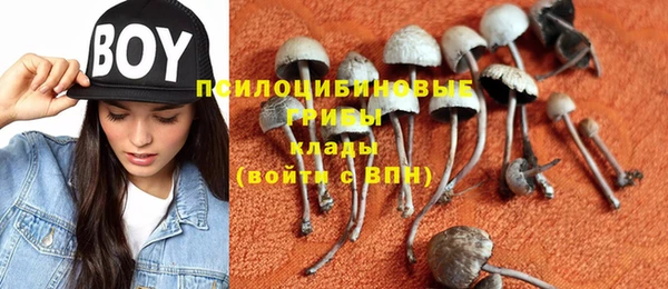 PSILOCYBIN Богородицк