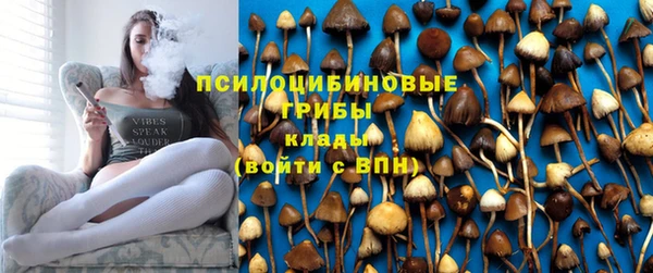 ПСИЛОЦИБИНОВЫЕ ГРИБЫ Богородск